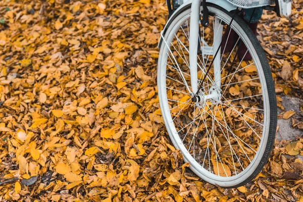 Close up view of wheel of white bicycle in autumnal forest — Stock Photo