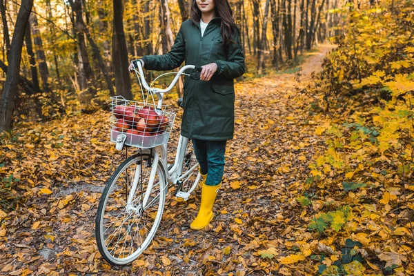 Vista parcial de mujer llevando bicicleta con cesta llena de manzanas en bosque otoñal amarillo - foto de stock