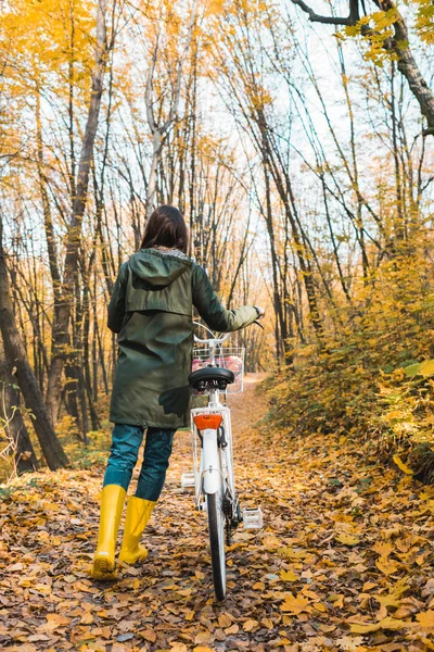 Задний вид женщины, несущей велосипед в желтом осеннем лесу — стоковое фото