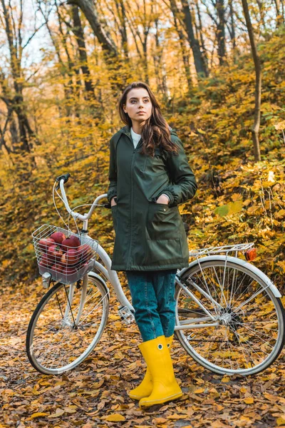 Mujer joven y segura de sí misma parada cerca de la bicicleta con la cesta llena de manzanas en el bosque otoñal - foto de stock