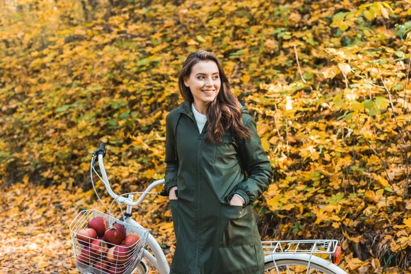 Mulher bonita feliz de pé perto de bicicleta com cesta cheia de maçãs na floresta outonal — Fotografia de Stock