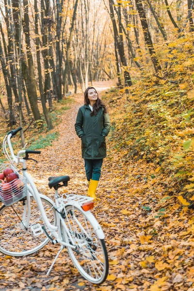 Привлекательная девушка в жёлтых резиновых сапогах, идущая рядом с велосипедом с корзиной, полной яблок в осеннем лесу — стоковое фото