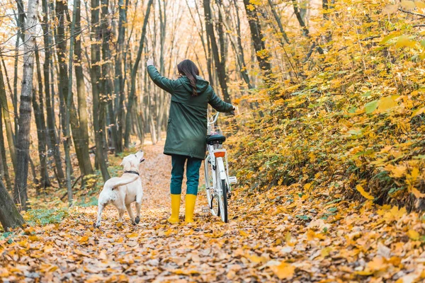 Vista posteriore della donna con bicicletta e il suo golden retriever a piedi vicino sul sentiero verde giallo nella foresta — Foto stock