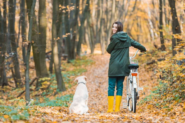 Sonriente mujer con bicicleta y su golden retriever sentado cerca en amarillo camino frondoso en el bosque - foto de stock
