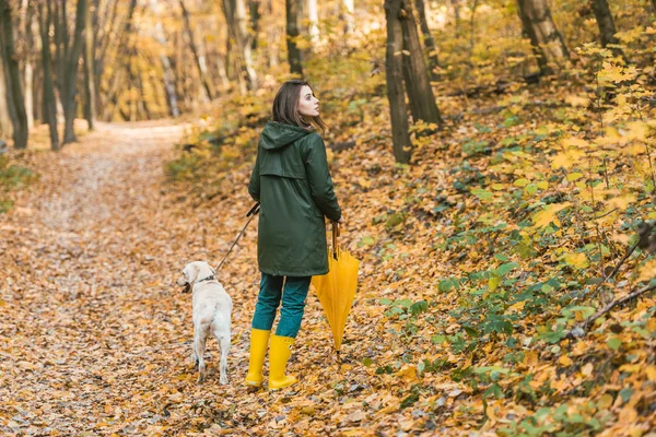 Beautiful woman in gumboots holding yellow umbrella and walking with dog on leafy path in autumnal forest — Stock Photo