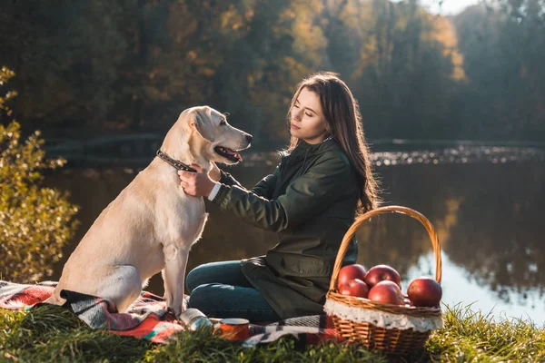 Young woman sitting on blanket and adjusting dog collar on golden retriever in park — Stock Photo