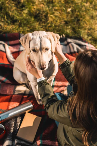 High angle view of woman sitting on blanket and adjusting dog collar on golden retriever in park — Stock Photo