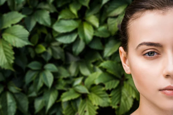 Abgeschnittenes Gesicht einer jungen Frau mit grünen Blättern im Hintergrund — Stockfoto