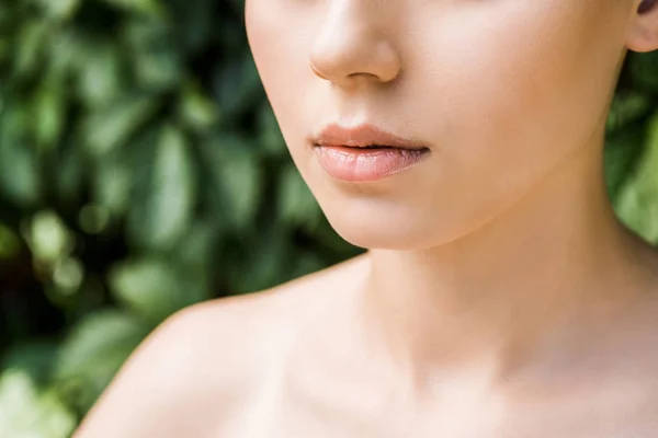 Gros plan des lèvres féminines avec fond vert — Photo de stock