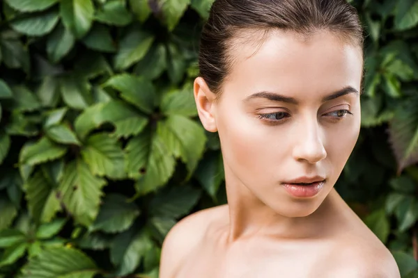 Beautiful young woman with green leaves at background — Stock Photo