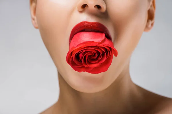 Young woman holding red rose in mouth — Stock Photo