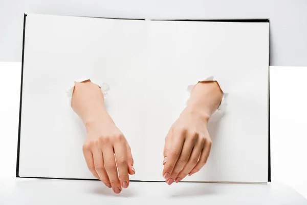 Обрізаний знімок жіночих рук через отвори в книзі на білому — стокове фото