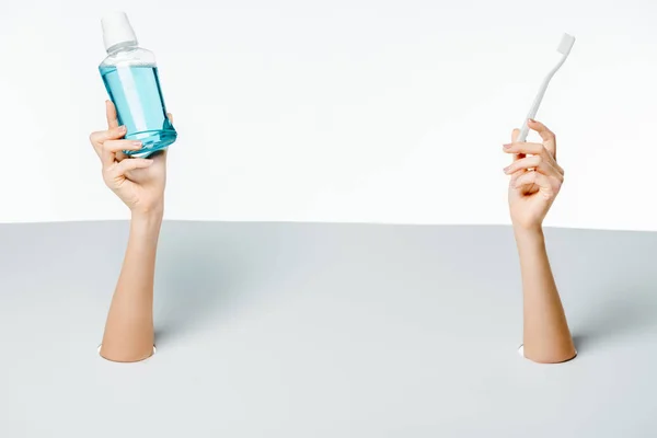 Partial view of female hands holding toothbrush and mouthwash through holes on white — Stock Photo