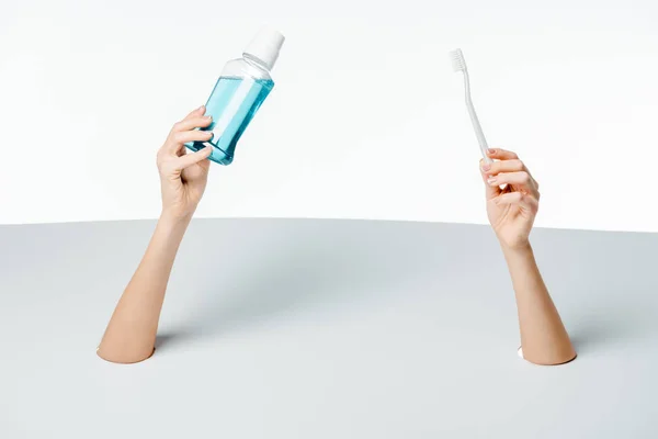 Cropped shot of woman holding toothbrush and mouthwash through holes on white — Stock Photo