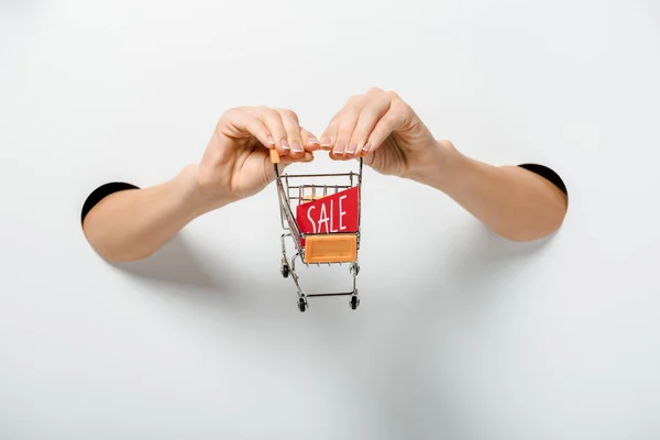 Cropped image of girl holding small shopping cart with sale sign through holes on white — Stock Photo
