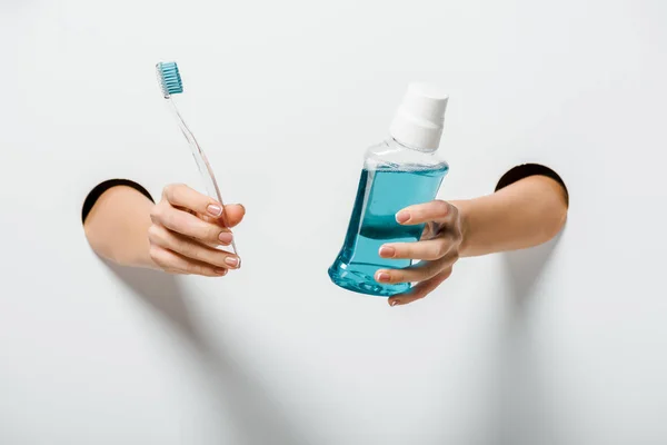 Cropped image of woman holding toothbrush and mouth rinse in holes on white — Stock Photo