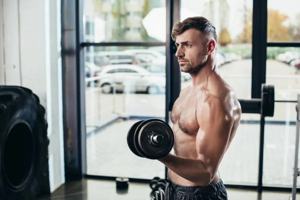 Handsome shirtless sweaty sportsman training with dumbbells in gym — Stock Photo