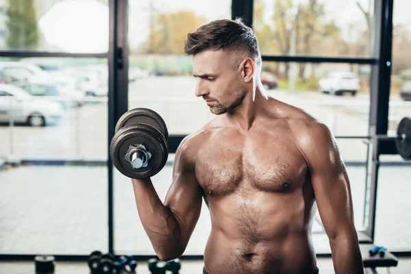 Handsome shirtless muscular sportsman training with dumbbell in gym — Stock Photo