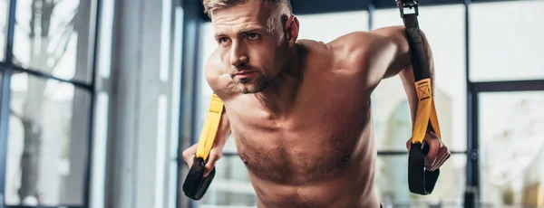 Panoramic view of handsome shirtless sportsman training with resistance bands in gym — Stock Photo