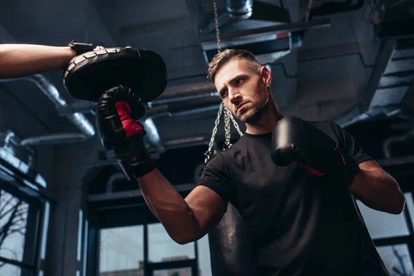 Vue à faible angle de boxeur beau exercice avec entraîneur dans la salle de gym — Photo de stock