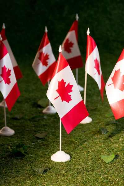 Enfoque selectivo de las banderas canadienses sobre el fondo de hierba verde - foto de stock