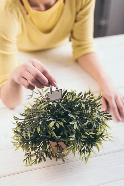 Vista cortada de mulher segurando saco de papel de brinquedo perto de planta verde — Fotografia de Stock