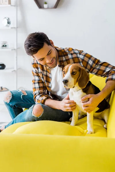 Schöner Mann verbringt Zeit mit Beagle-Hund auf Sofa zu Hause — Stockfoto