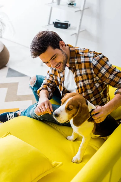 Guapo sonriente hombre pasar tiempo con beagle perro en casa - foto de stock