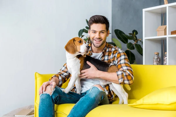 Hombre sonriente guapo sentado en el sofá con perro beagle - foto de stock