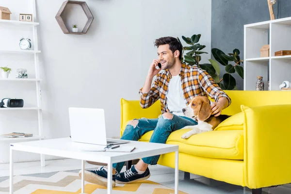 Schöner lächelnder Mann mit Smartphone und Laptop auf Sofa mit Hund — Stockfoto