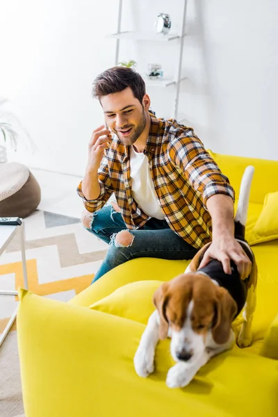 Glücklicher junger Mann spricht auf Smartphone und schaut Hund an — Stockfoto