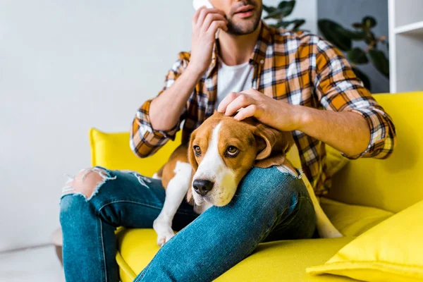 Vista ritagliata di uomo che parla su smartphone e cane da accarezzare — Foto stock