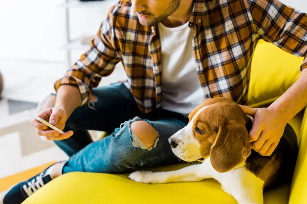 Vista recortada del hombre usando el teléfono inteligente mientras está sentado en el sofá con perro lindo - foto de stock