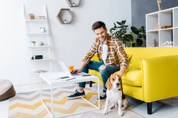 Teletrabajador sonriente utilizando el ordenador portátil en la sala de estar con perro beagle - foto de stock