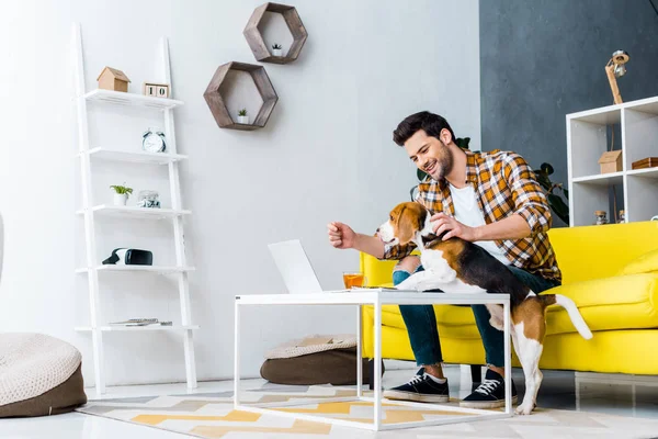 Sonriente freelancer masculino trabajando en portátil en sala de estar con perro - foto de stock