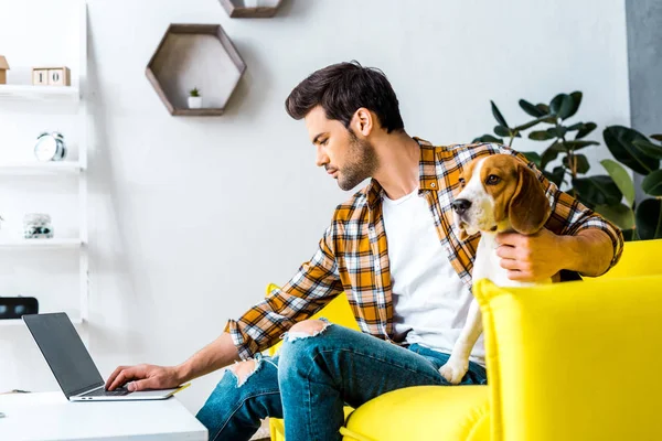 Красавец, телеработающий на ноутбуке в гостиной с собакой — стоковое фото