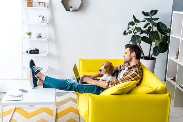 Hombre guapo usando portátil en sofá amarillo con perro beagle en la sala de estar - foto de stock