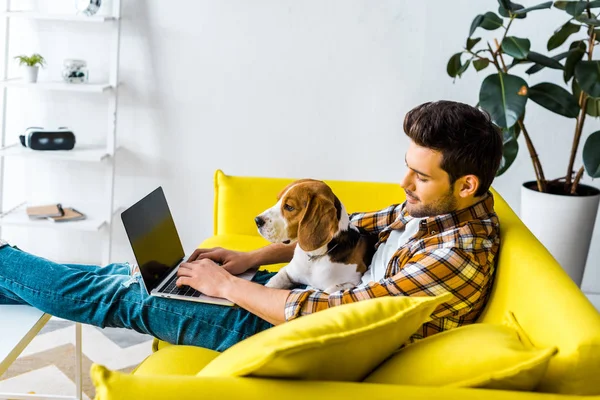 Hombre guapo usando el ordenador portátil en el sofá amarillo con perro beagle - foto de stock