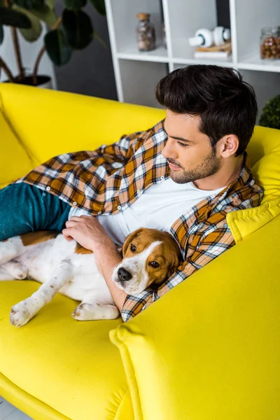 Красивый случайный мужчина лежит на желтом диване с собакой — стоковое фото