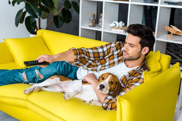 Красивий чоловік з пультом дистанційного керування дивиться телевізор і лежить на дивані з бігль собакою — стокове фото