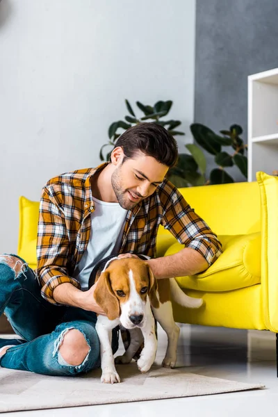 Hombre guapo pasar tiempo con el perro beagle en la sala de estar - foto de stock