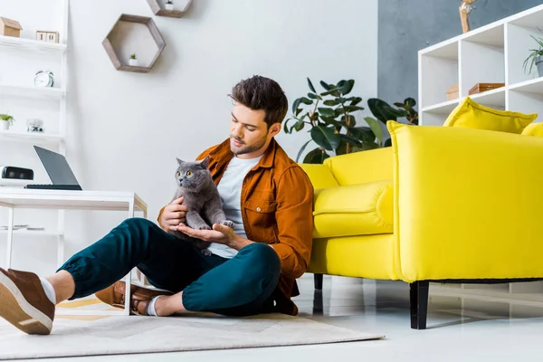 Hombre guapo con británico taquigrafía gato sentado en piso en sala de estar - foto de stock