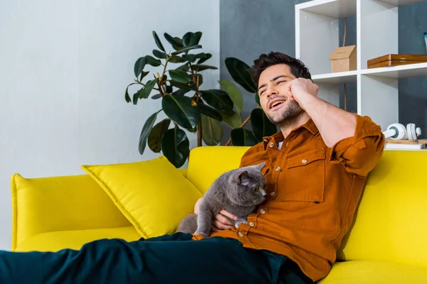 Веселый человек разговаривает по смартфону на диване с серой кошкой — стоковое фото