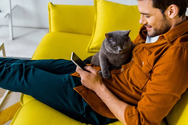 Красивый улыбающийся мужчина с помощью смартфона, сидя на диване с котом — стоковое фото