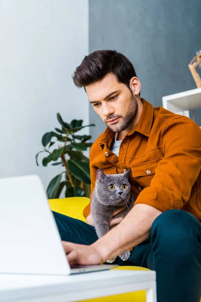 Jeune homme utilisant un ordinateur portable sur un canapé avec un chat britannique à poil court — Photo de stock