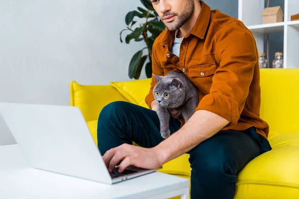 Homem bonito usando laptop no sofá com gato britânico shorthair — Fotografia de Stock