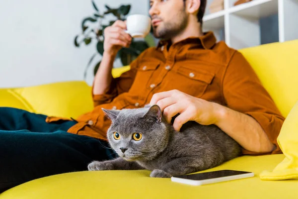 Foco seletivo de smartphone, gato britânico shorthair e homem com café no sofá — Fotografia de Stock