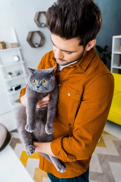 Bell'uomo che tiene il gatto pantaloncini britannico in soggiorno — Foto stock