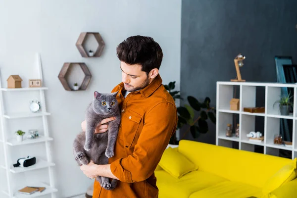 Bonito homem segurando cinza britânico shorthair gato — Fotografia de Stock