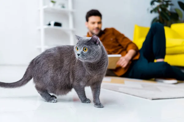 Foco seletivo de gato britânico shorthair e homem com livro no chão — Fotografia de Stock